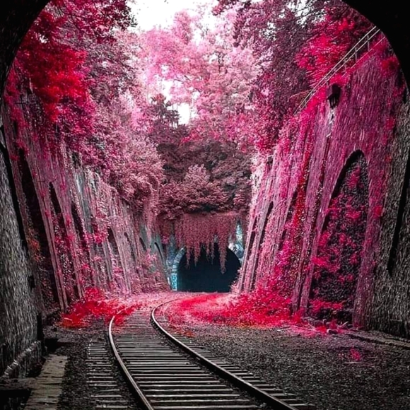 Accepting ALL Offers!!! 😃🎀🍒🌷💝 - Picture 13 of 16